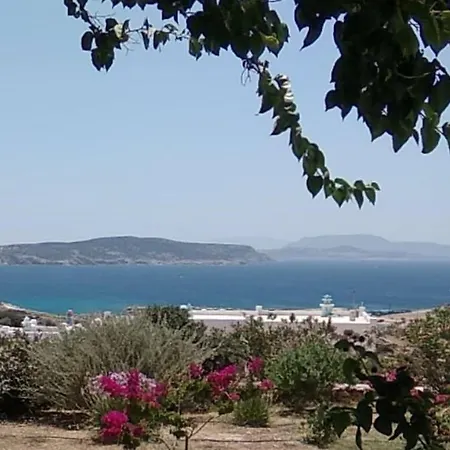 Stella's Κουφονήσι